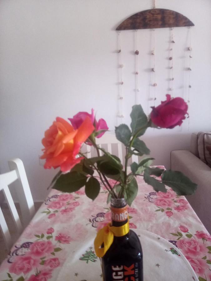 Lindita'S Seaview Appartment Wlora Zewnętrze zdjęcie